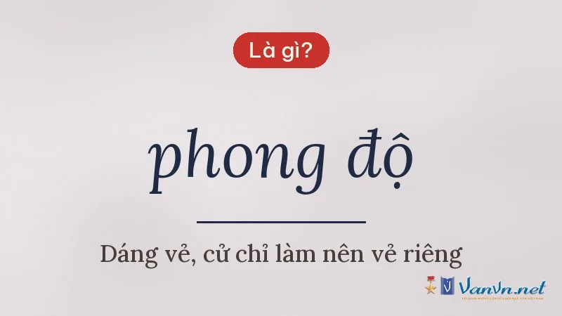 phong độ là gì
