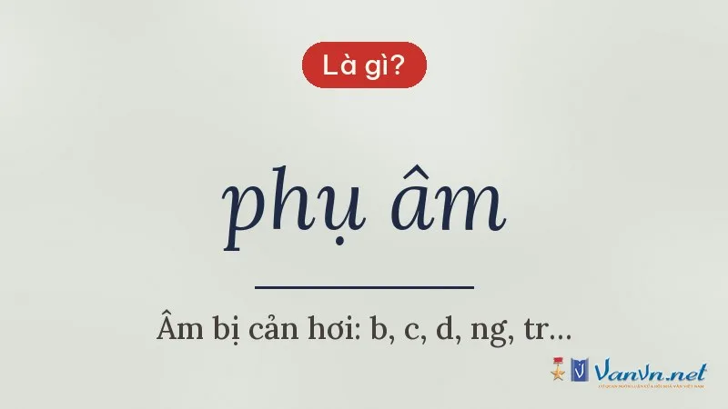 phụ âm là gì