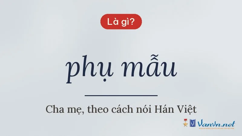 phụ mẫu là gì