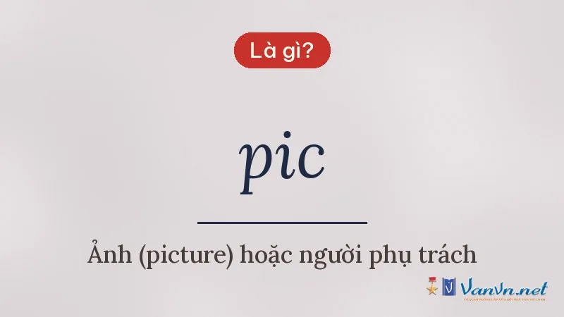 pic là gì
