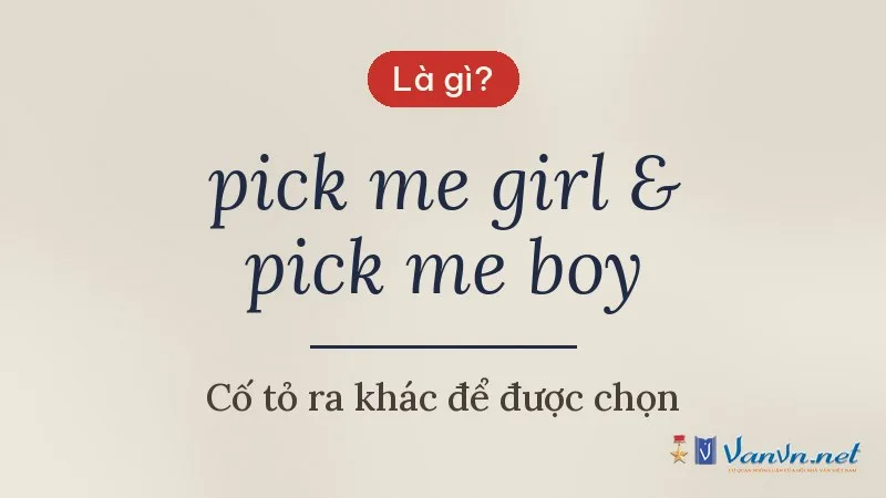 pick me girl & pick me boy là gì