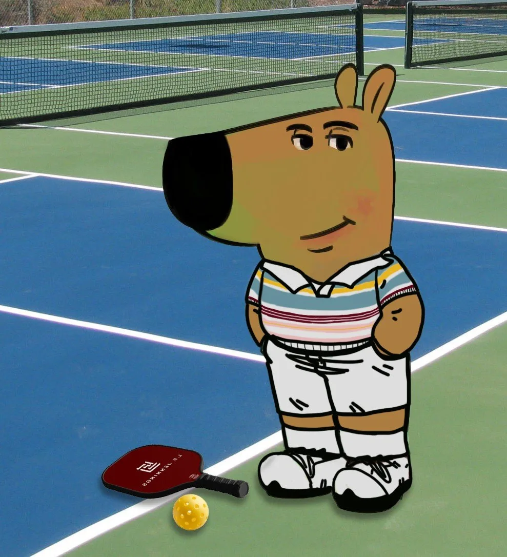 pickleball meme