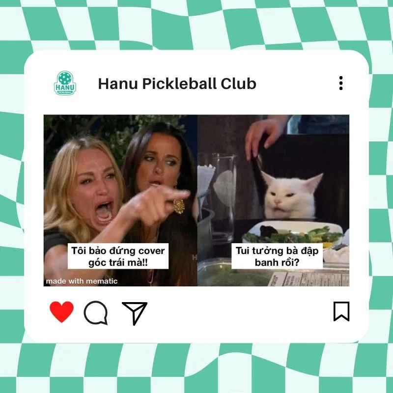 meme pickleball