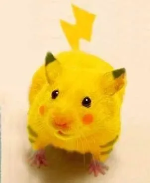 ảnh pikachu chế