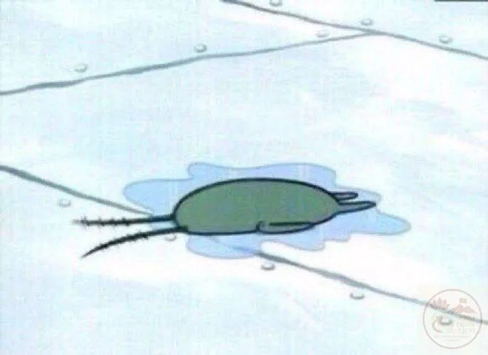 plankton meme