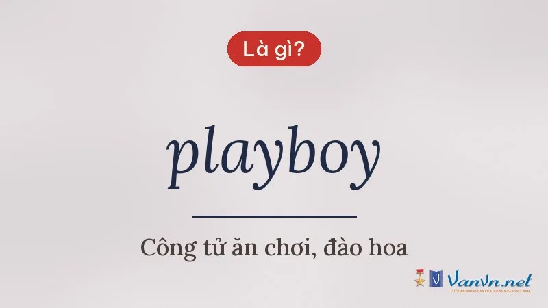 playboy là gì