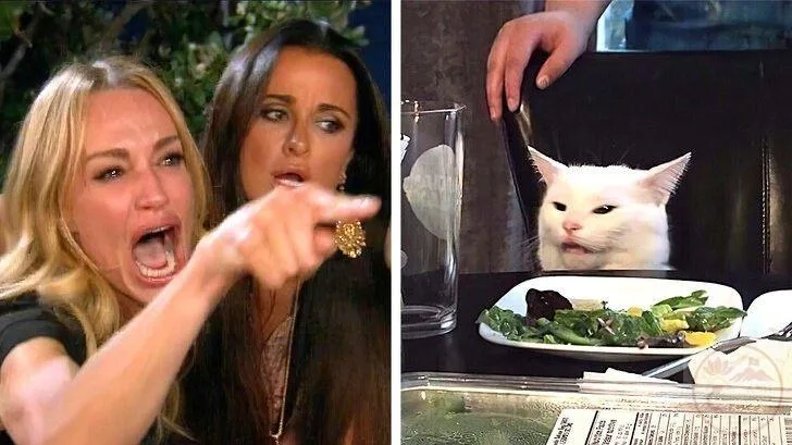 pointing meme