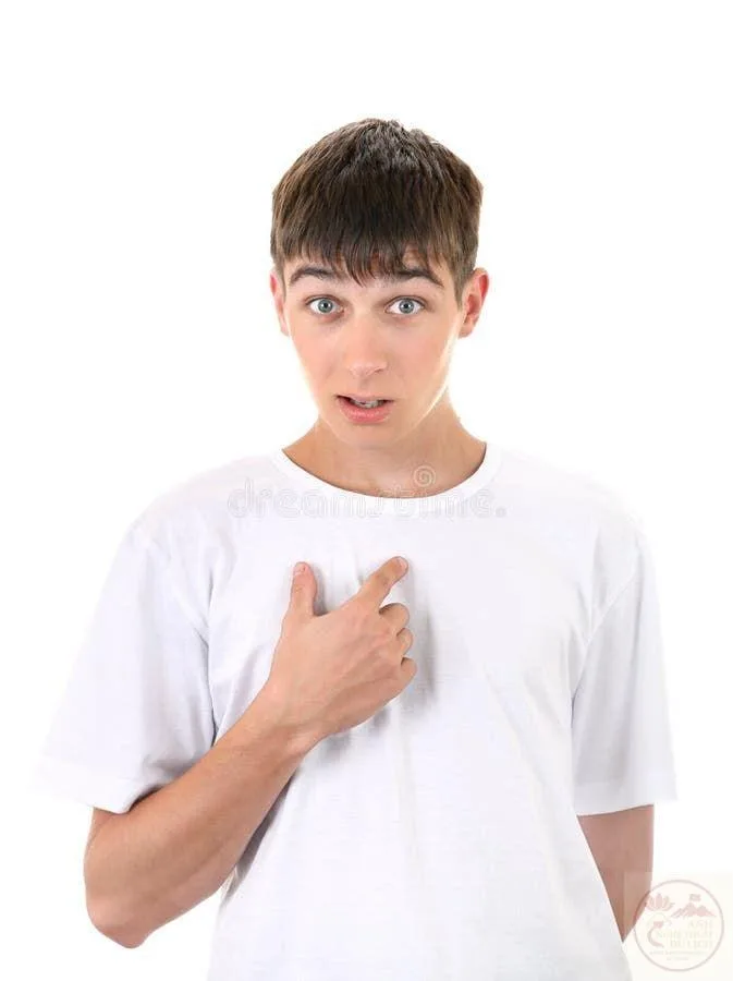 pointing meme