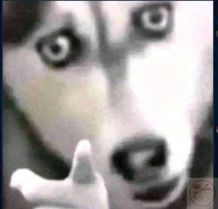pointing meme