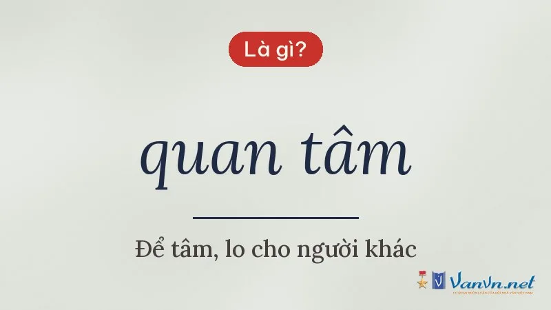quan tâm là gì