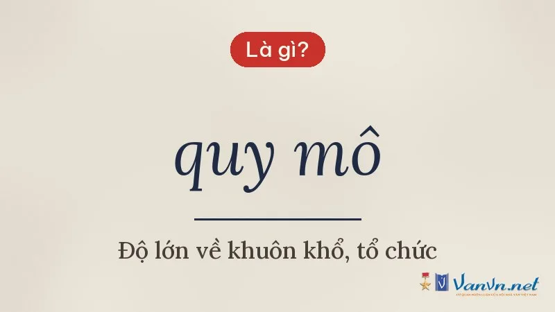 quy mô là gì