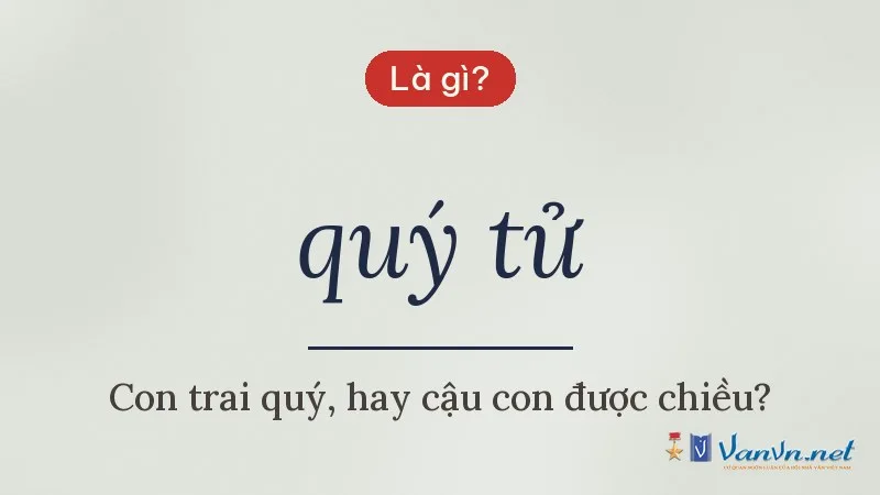 quý tử là gì