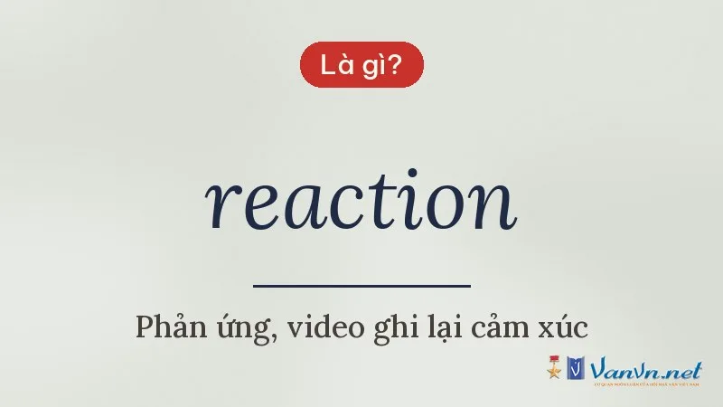 reaction là gì