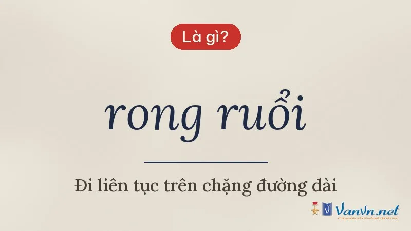 rong ruổi là gì