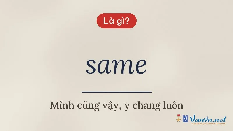 same là gì