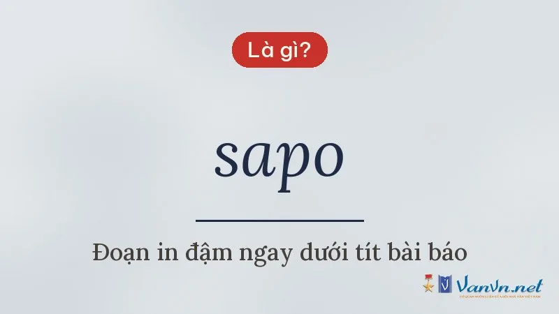 sapo là gì