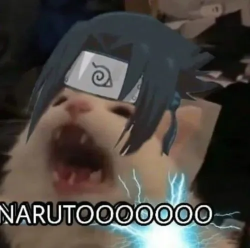 sasuke meme naruto