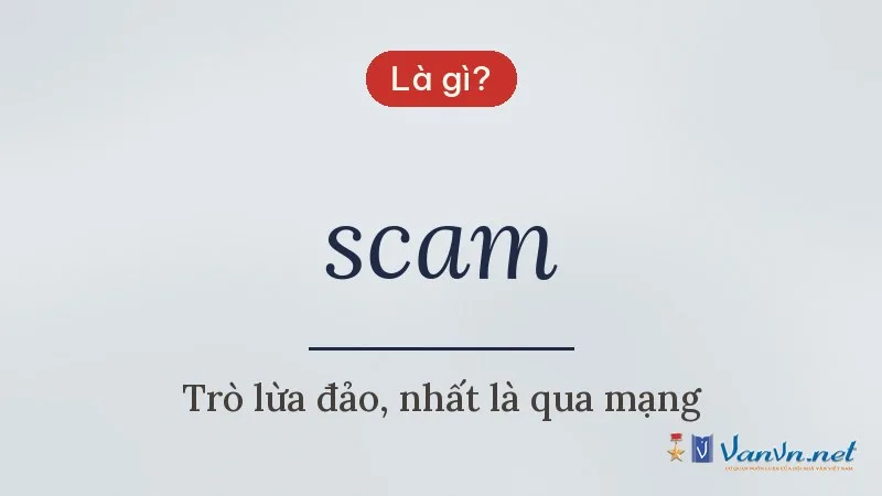 scam là gì