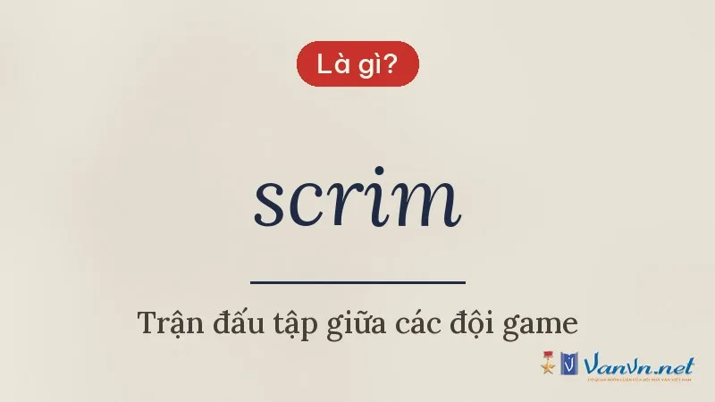 scrim là gì