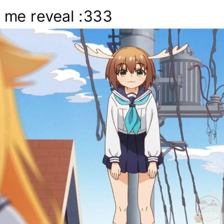 shikanoko nokonoko koshitantan meme