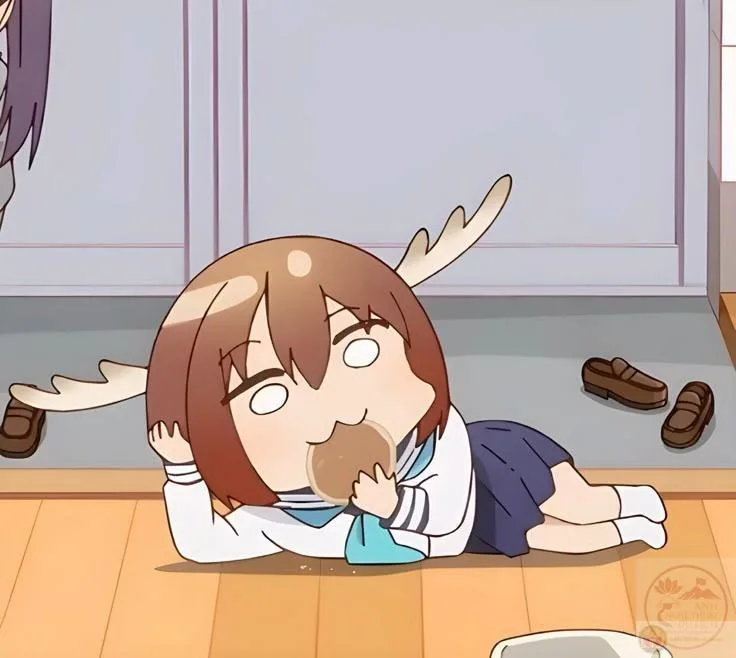 shikanoko nokonoko koshitantan meme
