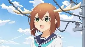 shikanoko nokonoko koshitantan meme