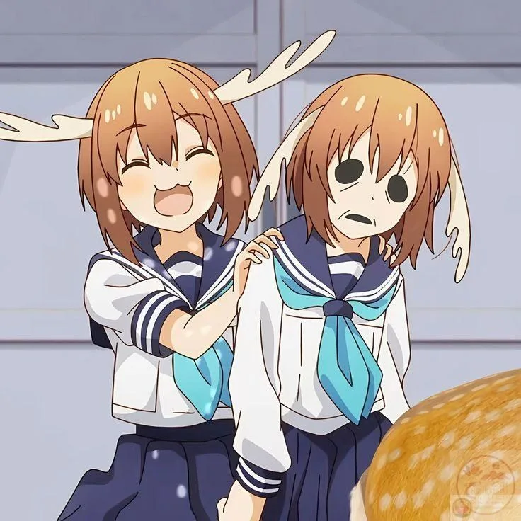 shikanoko nokonoko koshitantan meme