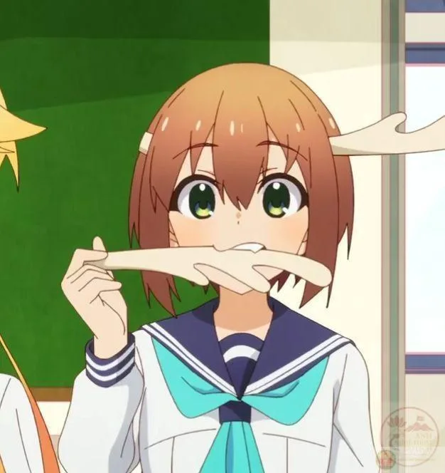 shikanoko nokonoko koshitantan meme