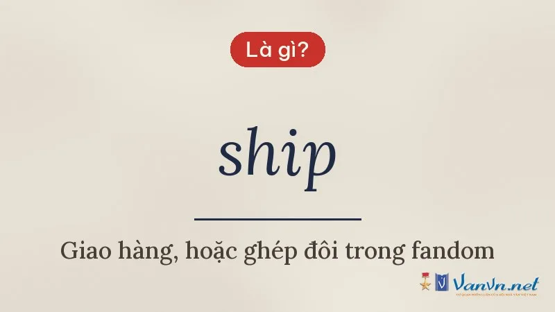 ship là gì