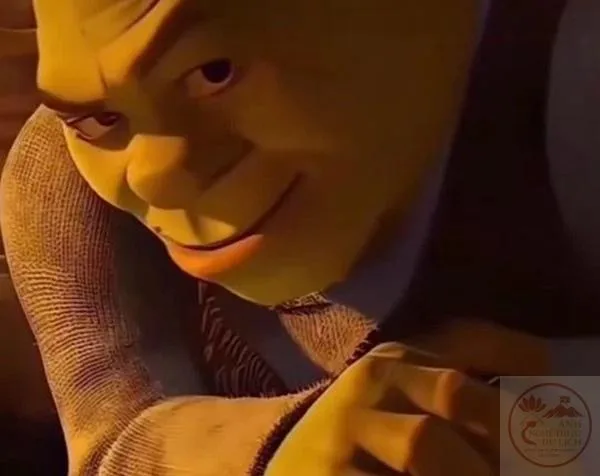 shrek meme