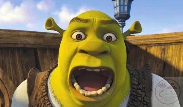 shrek meme