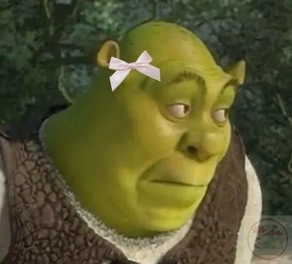 shrek meme