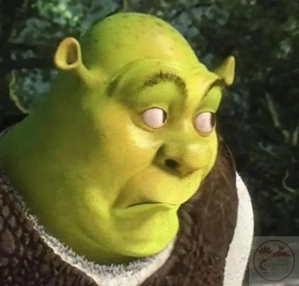 shrek meme