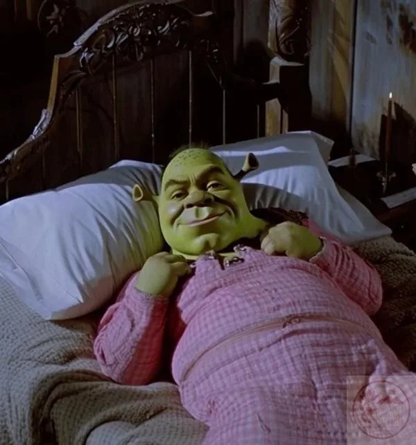 shrek meme