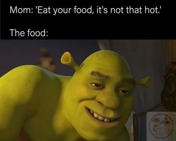 shrek meme