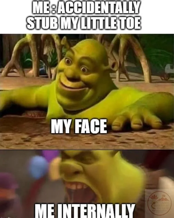 shrek meme
