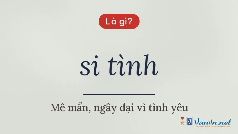 si tình là gì