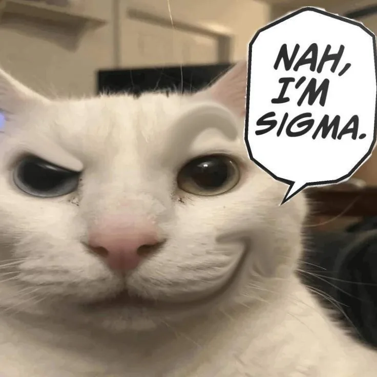sigma meme