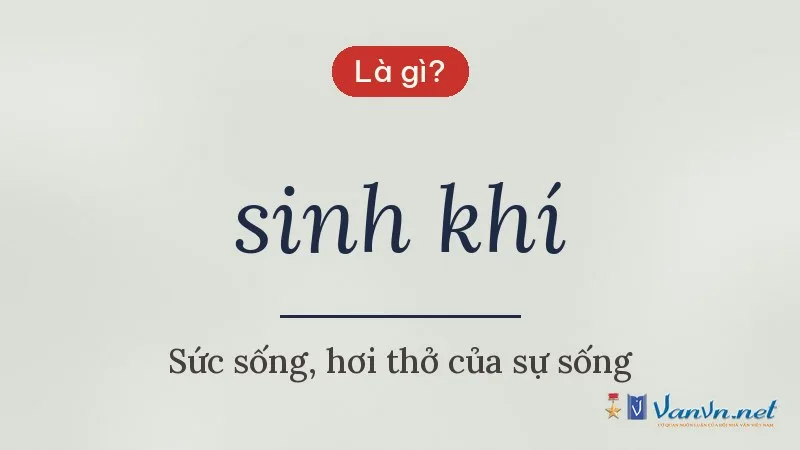 sinh khí là gì