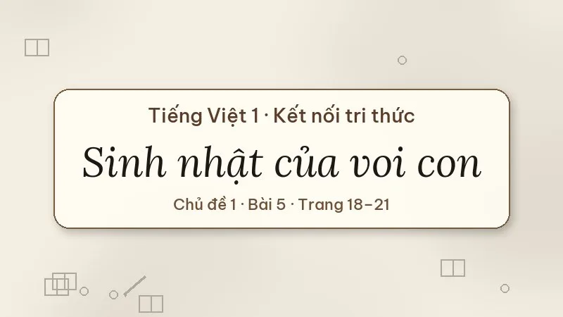 sinh nhật của voi con lớp 1 kết nối tri thức