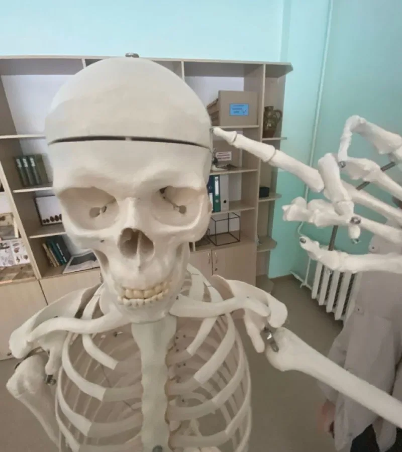 ảnh skeleton meme