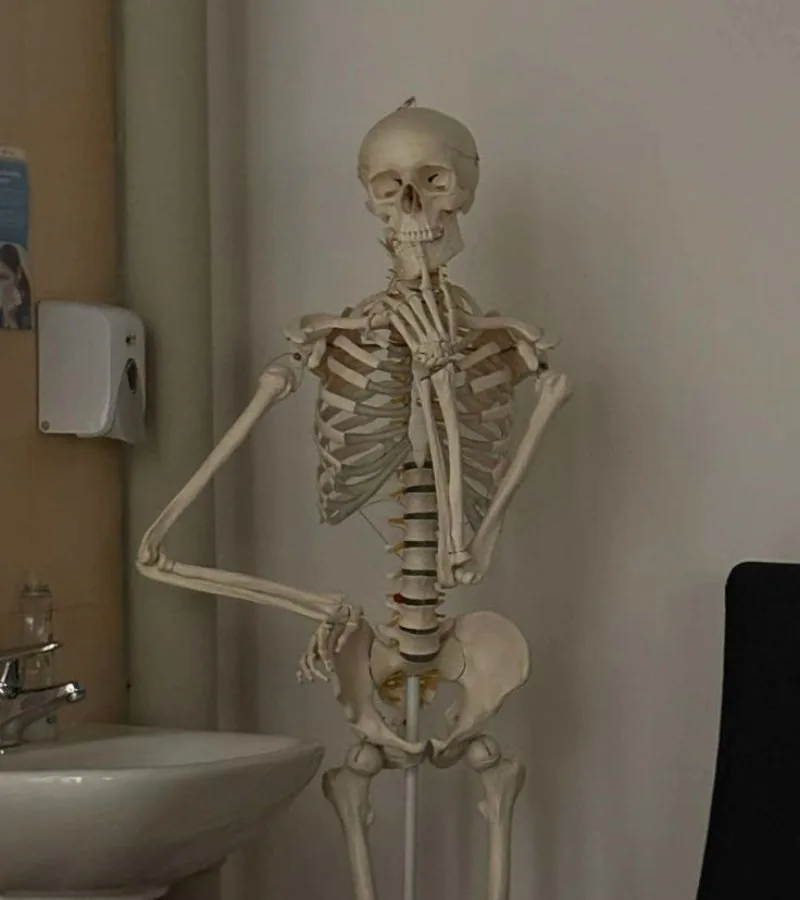 ảnh skeleton meme