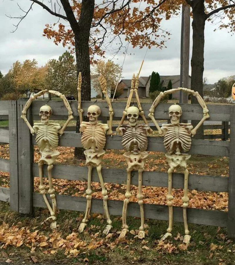meme skeleton