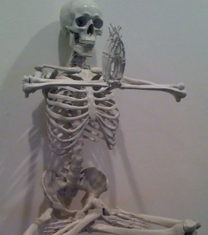 ảnh skeleton meme