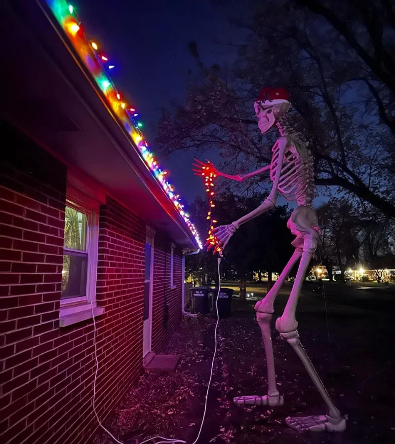 skeleton meme