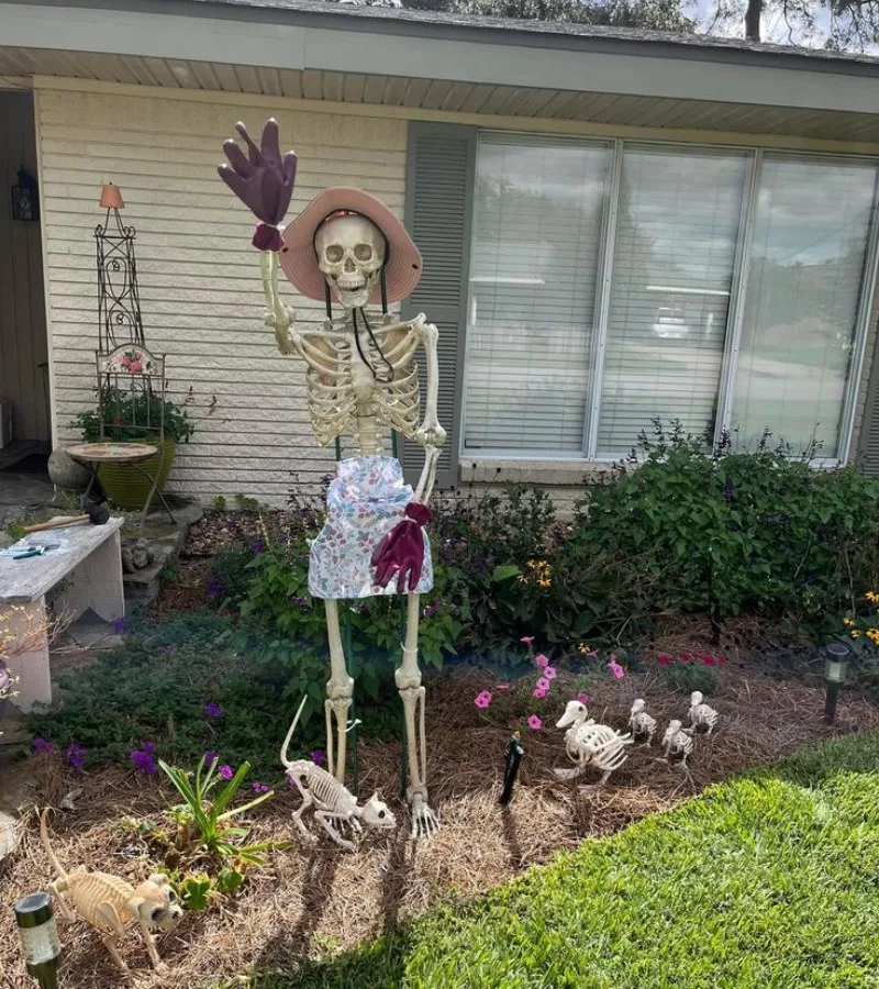 meme skeleton
