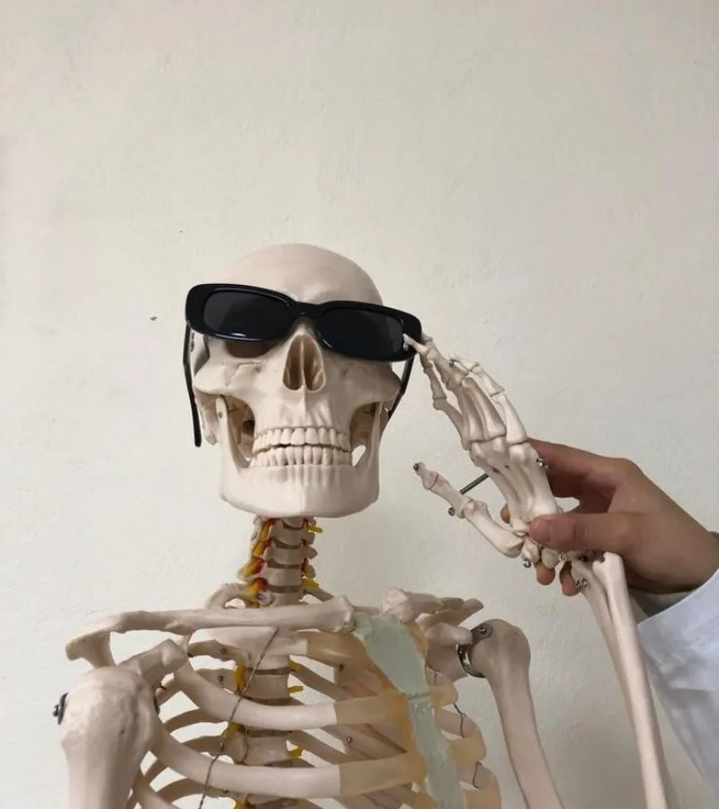 ảnh skeleton meme