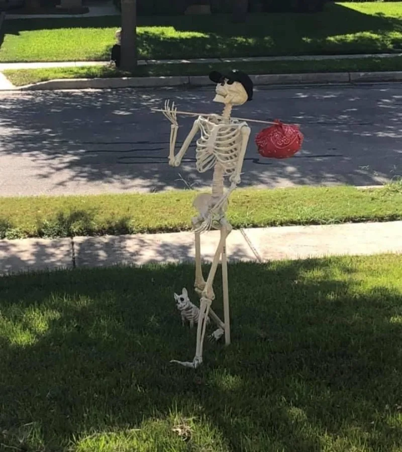 meme skeleton