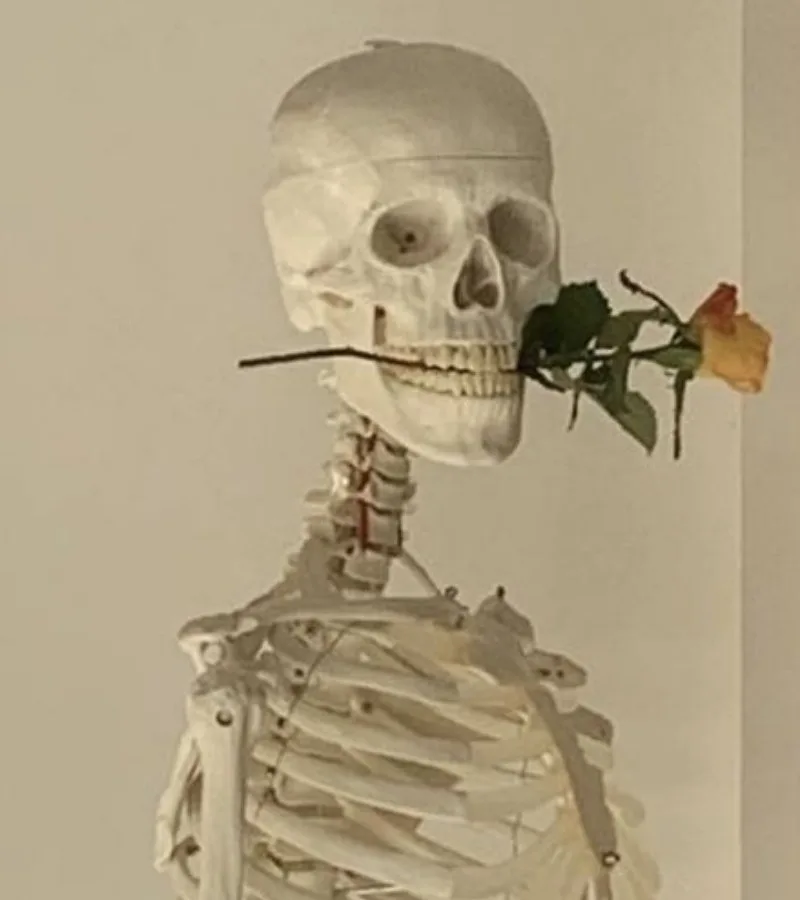 skeleton meme