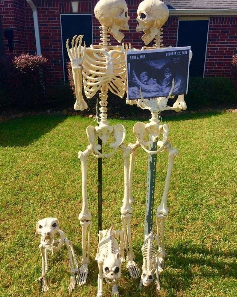 skeleton meme